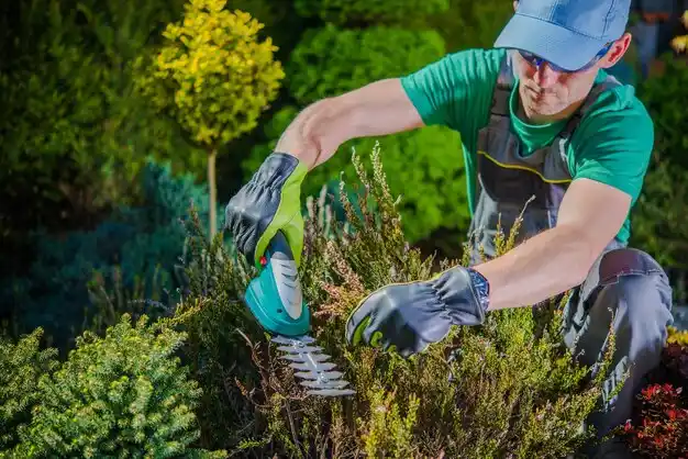 landscaping services Orange Lake